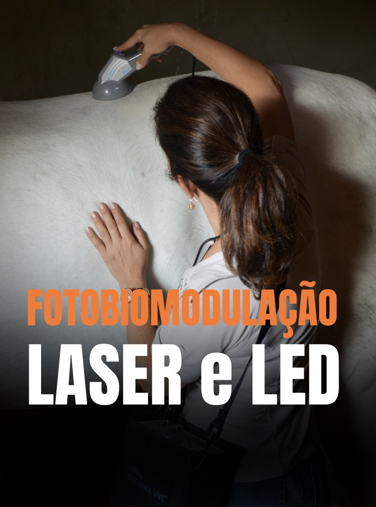 Curso Fotobiomodulação: LASER e LED