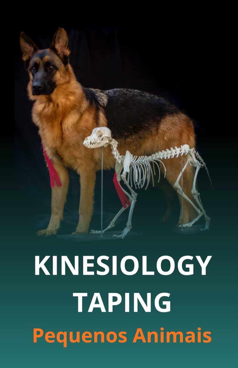 Curso Kinesiology Taping Pequenos Animais
