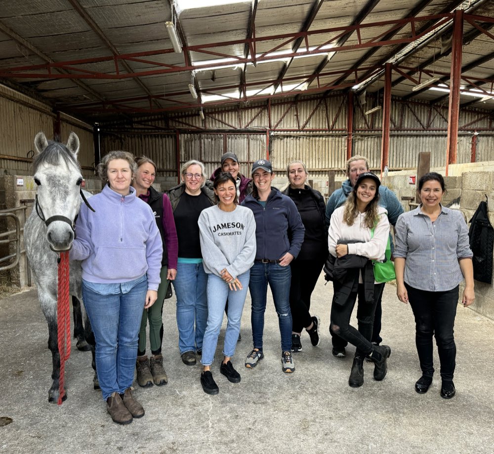 Curso de KT em equinos na Irlanda