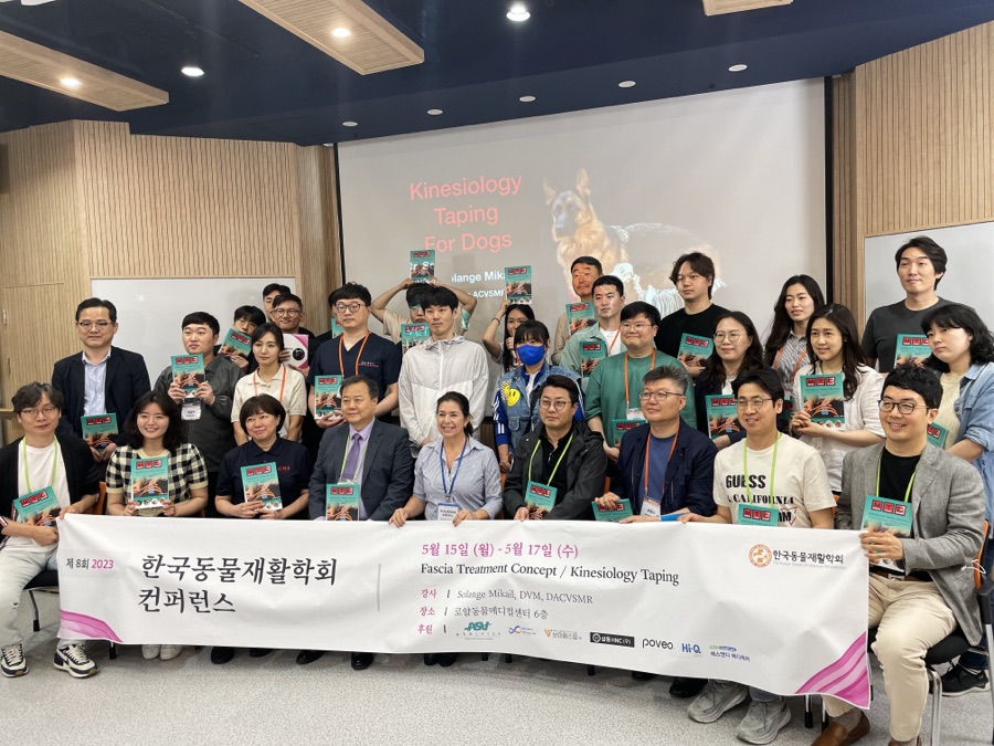 Curso de KT em Seoul, Coreia do Sul